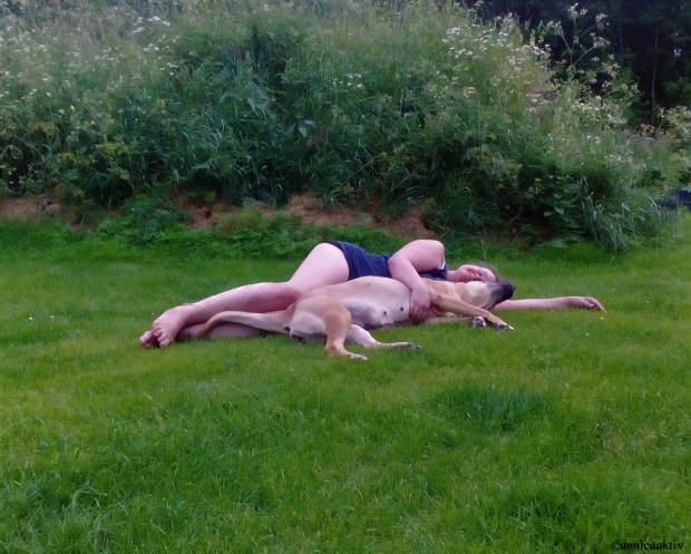 IMG_20170705_163608 (2)