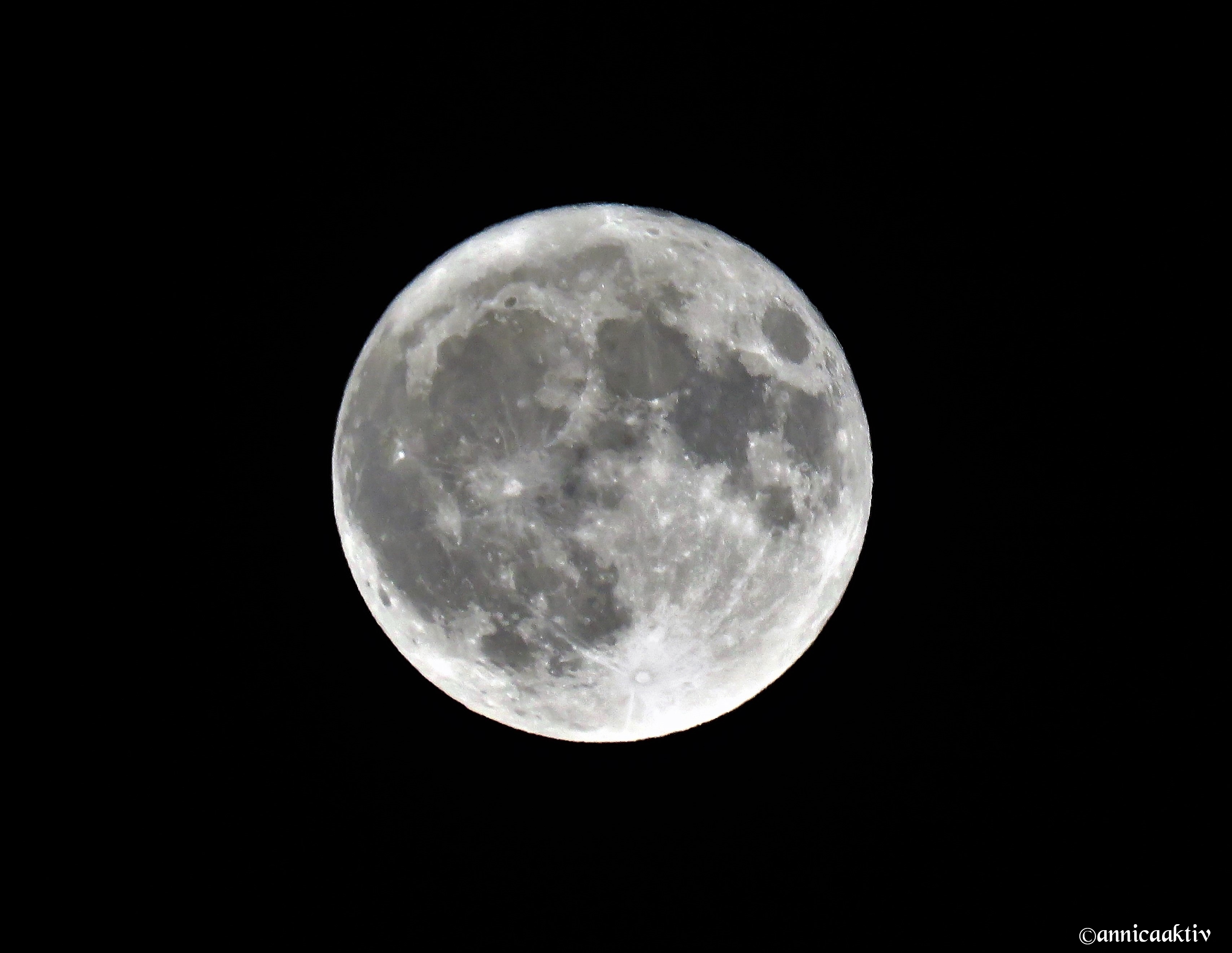 IMG_9359 - kopia (2)